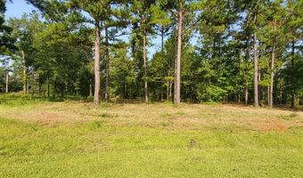 Lot 13 A Mountain View way 13 A, Bainbridge, GA 39819
