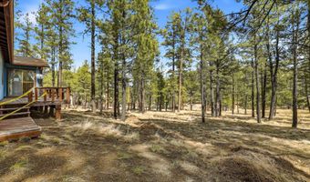 6 N CR 2148, Alpine, AZ 85920