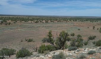98 N9222, Concho, AZ 85924