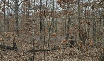 65 Acres Plainview Rd, Anderson, MO 64831