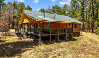 61 Co Rd 2266, Alpine, AZ 85920