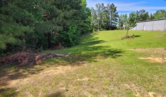 429 ARENDALL Rd, Adamsville, TN 38310