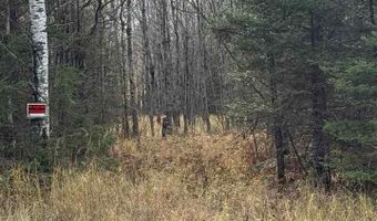 TBD Lane 55 County Road 341, Aurora, MN 55705