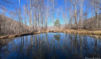 140 Wild Mountain Ln, Barnardsville, NC 28709