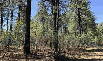 156 Lake View Cir, Bayfield, CO 81122