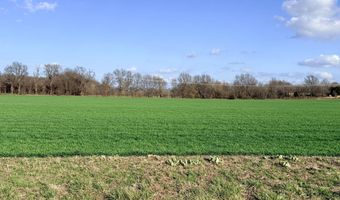 0002 CR-290, Asbury, MO 64832