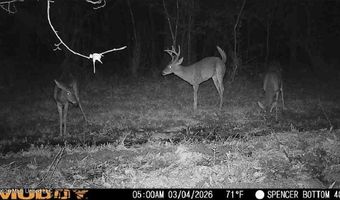Bogue Chitto Road, Bogue Chitto, MS 39629