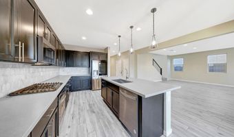 12122 W Levi Dr, Avondale, AZ 85323