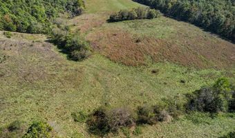 3850 Private Drive 3220, Ava, MO 65608