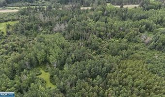 8800 Hwy 73, Angora, MN 55723