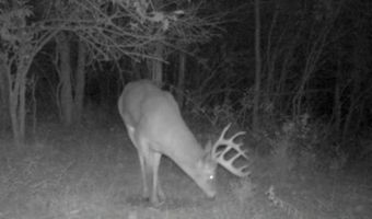 197 Th Trl, Albia, IA 52531