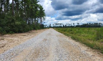 38774 S Mccarrol Rd, Amite, LA 70422
