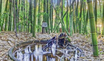 5601 Freedom Blvd, Aptos, CA 95003