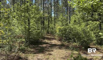 Ronald Sanks Road, Bay Minette, AL 36507