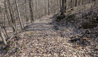 9999 Tip Top Rd, Beattyville, KY 41311