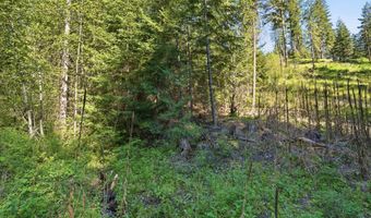 NNA Stone Rd Lot 2 20.0 Acres, Blanchard, ID 83804