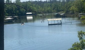 460 Lakeview Rd, Abbeville, AL 36310