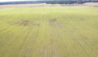 72 Nw Pl, Bell, FL 32619