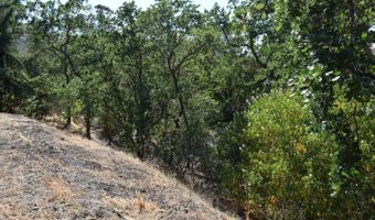 1271 Laverock Ln, Alamo, CA 94507