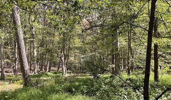 624 MOUNTAIN LION Ln, Augusta, WV 26704