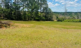 1687 Hwy 131, Baker Hill, AL 36027