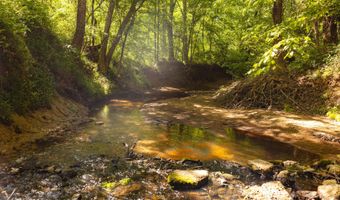 Beech Bluff Road, Beech Bluff, TN 38313