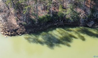 Lot 91 Sipsey Overlook, Double Springs, AL 35553