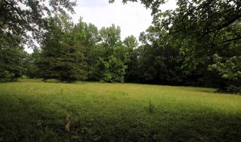 000 AVE 5 SW St, Atkins, AR 72823