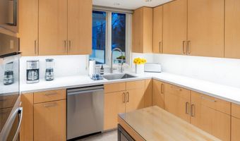 506 W Hallam St, Aspen, CO 81611