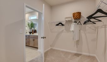 711 Oak Valley Dr Plan: The Easton, Blythewood, SC 29016