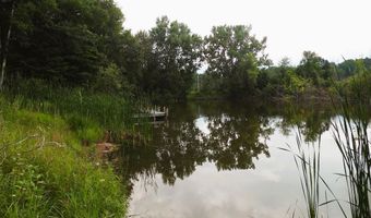 S Forest Lake, Alger, MI 48610