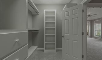 504 Beacon Cv, Brandon, MS 39047