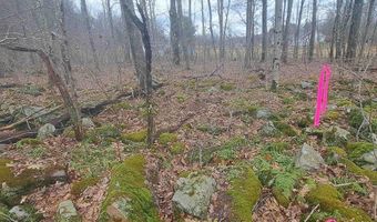 Glade Run Road, Albright, WV 26519