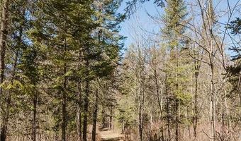 20008 County 84, Akeley, MN 56433
