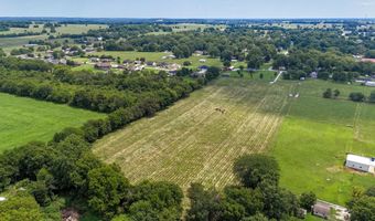 317 N Thurmond Ave, Ash Grove, MO 65604