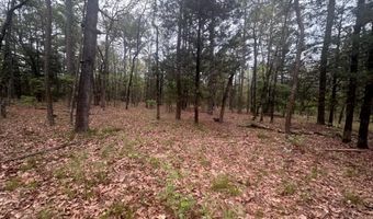 UNIT # 263B KIAMICHI WILDERNESS RD Unit # 63 63, Antlers, OK 74523