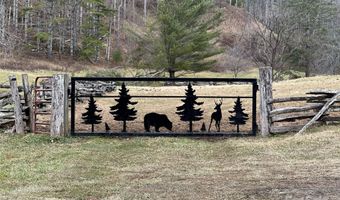 99999 White Pine Ln, Bakersville, NC 28705