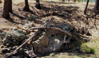 Tbd STONE CREEK RD CR 2117, Alpine, AZ 85920