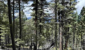 Valley Rd lot 123, Angel Fire, NM 87710