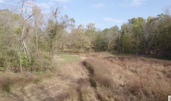 Holloway Landing Road, Barlow, KY 42024