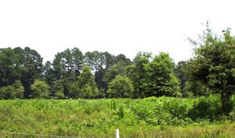 138 Little River 183, Ashdown, AR 71822