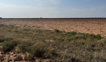 F M 54, Abernathy, TX 79311