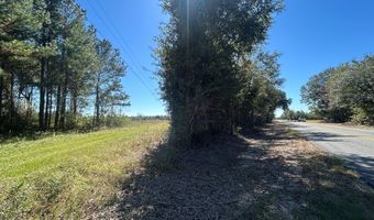 20 Ac Coot Adams Rd, Ashford, AL 36312