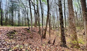 10 Cross St, Abbeville, SC 29620