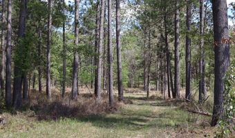 La Grant Road, Alger, MI 48610