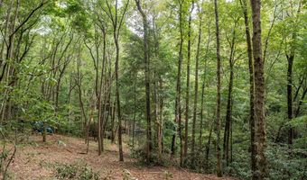 1034 Chestnut Flats Rd, Andrews, NC 28901