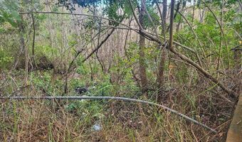 2220 ELLIE Rd B, Auburndale, FL 33823