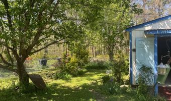 147 Lake Shore Ter, Ashland, MS 38603