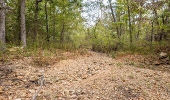 229 County Road 314, Alton, MO 65606