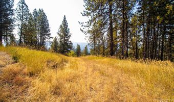 Summitview Dr, Ahsahka, ID 83520